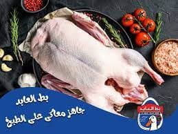 بط العابد وزن 2600